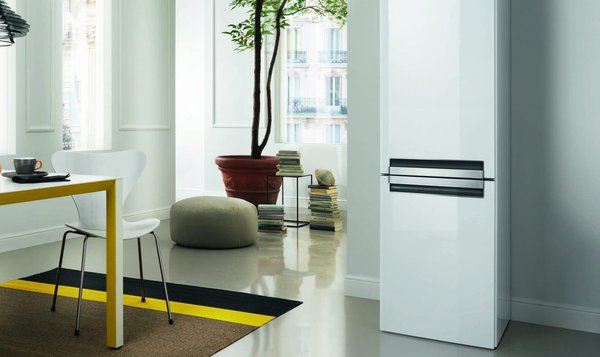 La différence entre un réfrigérateur combiné et un congélateur