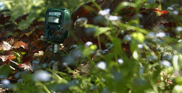 Quel répulsif ultrason choisir pour son jardin ?