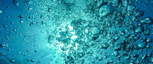 Osmoseur domestique ou osmoseur inversé, lequel choisir ?